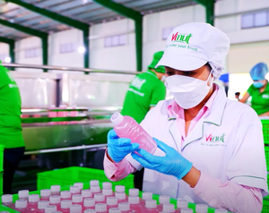 ขวด cocogurt กับบลูเบอร์รี่280มล. 9.5แบบกล่องเครื่องดื่ม vinut 24ขวดขวด - Product Image 2