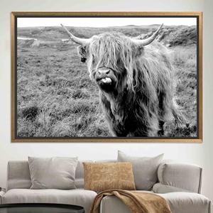 Tableau sur toile Vache des Highlands : Décoration murale imprimée avec des bovins écossais, TOILE ENCADRÉE DORÉE - Product Image 1