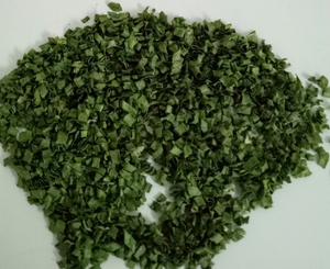 Cebolla verde Productos de alta calidad Especias para cocinar - Product Image 4