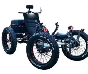 Prêt pour la livraison par coursier : le Quad électrique à pneus larges tout-terrain est un véhicule électrique à 4 roues tout-terrain. - Product Image 2