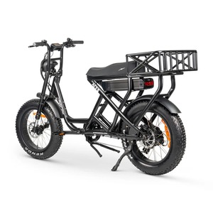 Brand New 2025 ACES-S <b>Cargo</b> MAX Electric <b>Bike</b>....Ready to ship - Product Image 3