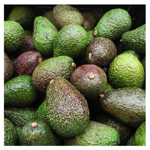 Aguacate Hass Fresco Grande - 11.4 Pulgadas de Delicia para Creaciones Culinarias - Product Image 1