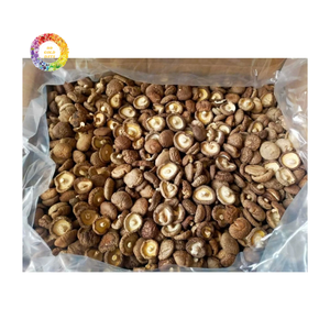 Hongos Shiitake Secos Premium, Hongos Chinos Naturales para Ingredientes Alimenticios, Compradores Mayoristas - Product Image 4