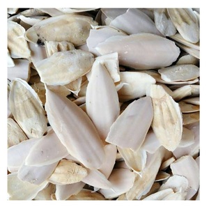 Os de seiche pour oiseaux, os de seiche séchés, os de seiche de haute qualité, os de seiche, os de seiche - Product Image 1