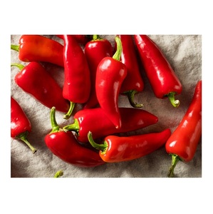Meilleur vendeur recommandé Fabricant de légumes frais de qualité supérieure Big Red Chili - Product Image 2