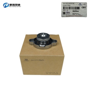 Venta caliente OEM 25330-17000 2533017000 CAP para <span class=keywords><strong>HYUNDAI</strong></span> KIA Accent 00 H100 99 Lavita 01 Libero 00 - Product Image 6