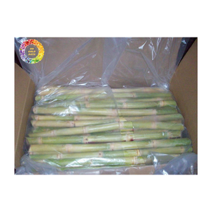 ผู้ส่งออกน้ำอ้อยแช่แข็งแท่งอ้อย IQF สำหรับเครื่องดื่มเย็นเครื่องดื่มและน้ำผลไม้น้ำผลไม้แช่แข็งเพื่อส่งออก - Product Image 5