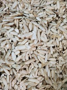 100% Os de seiche séché au soleil naturel meilleure qualité oiseaux nourriture os de seiche calmar os de seiche en vente - Product Image 6