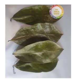 Feuilles de corossol séchées en gros, exportation en vrac, feuilles de graviaola propres, fournisseur du Vietnam, réseau mondial - Product Image 5