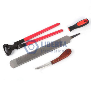 Ensemble d'instruments vétérinaires équins professionnels Kit d'outils de maréchal-ferrant en acier inoxydable réutilisable avec couteau et râpe à sabot - Product Image 3