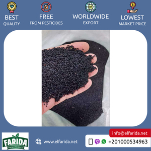 เมล็ดไนเจลล่า sativa สีดำธรรมชาติแท้เกรดพรีเมี่ยมเมล็ดพันธุ์ยี่หร่าสีดำ - Product Image 6