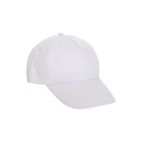 Gorras de Béisbol Personalizadas al por Mayor, Estilo Deportivo Urbano, Logotipo Personalizado, Impresión por Transferencia de Calor, Gorra Trucker 100% Algodón Denim