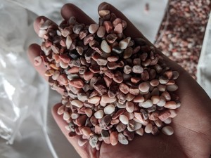 Fournisseur du Vietnam de gravier naturel blanc et rose pavé de galets de paysage - Product Image 5