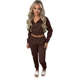 2pcs Warm Velvet Pant Suits <b>Women</b> Outfits Autumn Winter Hooded Sweatshirt Pants Two-piece Set <b>Women</b> Tracksuit - Product Image 3