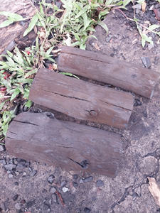 Bâton de charbon de bois dur Mangrove du Vietnam avec du charbon de bois de mangrove de qualité constante - Product Image 2