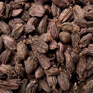 Cardamomo Grande/Elettaria Cardamomum/Eláci Kalan - Product Image 1