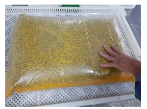 น้ำเสาวรสแช่แข็งคุณภาพสูง 100% จากธรรมชาติ ราคาสุดคุ้มจากเวียดนาม - Product Image 2