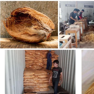 La fibre de noix de coco est transformée en plusieurs étapes et peut être utilisée comme support de culture et pour la fabrication de balais. - Product Image 1