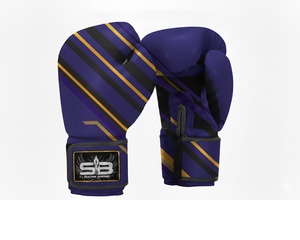 Equipo de boxeo de alta calidad - Product Image 1