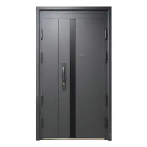 Duas cores articuladas Preço competitivo Simples Porta de aço Modern House Entrance Door à prova de fogo Metal plate home doors oem