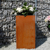 Jardinières surélevées en acier Corten pour plantes et fleurs d'extérieur