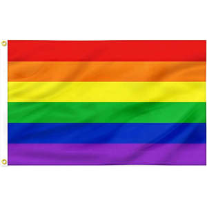 Bandera del Orgullo LGBT de 4x6 pies, Bandera de la Comunidad Gay, Lesbiana, Bisexual y Transgénero, Colores Vivos, Resistente a los Rayos UV - Product Image 1