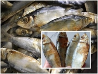 Meilleur prix pour le poisson séché, hareng séché du Vietnam, poisson séché AD, hareng Akina