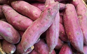 มันเทศแช่แข็งจากเวียดนามเหมาะสำหรับผู้จัดจำหน่ายอาหารเอเชียและแคริบเบียนในแอฟริกา - Product Image 6