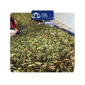 [สินค้าขายดี] ใบฝรั่งดิบพรีเมียมแบบชิ้นในถุง สำหรับทำชาสมุนไพรลดน้ำหนัก ใช้ในกระบวนการผลิตเครื่องดื่มและบริการอาหาร ผลิตในเวียดนาม - Product Image 1