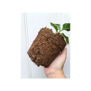 Turba en oferta a precio reducido para uso agrícola y hortícola - Product Image 1