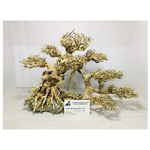 2025 Meilleurs articles Bonsai Driftwood pour Decorfish tank Aquarium - Product Image 3
