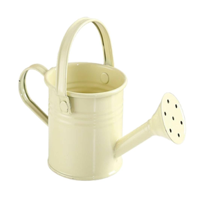 Bidon d'eau en métal galvanisé avec arrosoir poli noir pour plantes vertes d'extérieur avec vente - Product Image 3