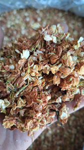 Botones de Jazmín Secos Más Vendidos, Aroma Natural para Amantes del Té, de Vietnam, Paquete a Granel 99GD - Caryln - Product Image 4