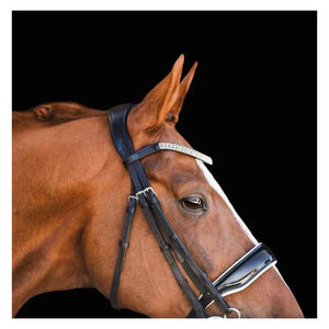 Uy Lumiere questrian rideline uxury eaeath riridle rior Horse plegado - Product Image 2