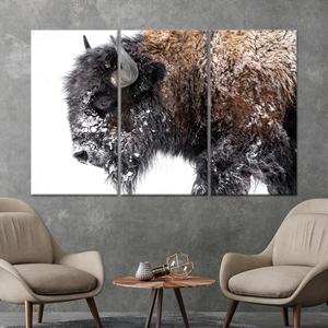 Decoración con motivos de animales americanos - Impresión en lienzo, diseño elegante de vida silvestre, lienzo enrollado en 3 paneles - Product Image 1