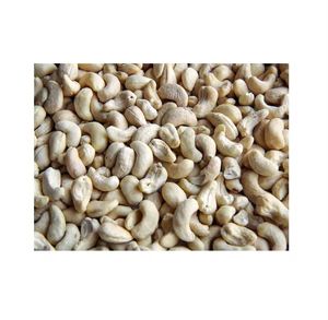 Fournisseur en gros de noix de cajou brutes, proposant une qualité de goût naturel premium, adapté aux marchés internationaux, en vrac, pour les collations - Product Image 5