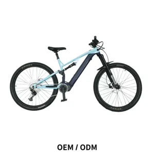 OEM/ODM 36V250W 29 인치 MTB 산악 전자 자전거 250 와트 전기 하이브리드 자전거 전기 도시 자전거