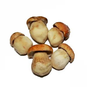 Dried mushrooms and Frozen mushrooms - Xerocomus badius - Boletus edulis - Cantharellus cibarius
