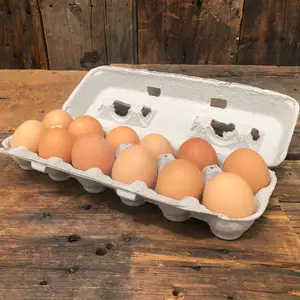 Huevos de alimentación natural Cobb 500 y Ross 308 disponibles: huevos ricos en nutrientes a la venta/huevos frescos Golden Rooster Farm