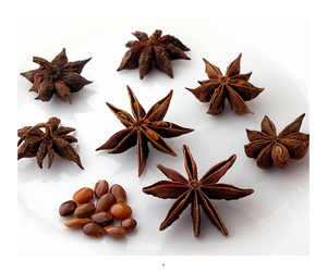 Usine en gros spécial haute qualité anis étoilé séché vietnam/anis étoilé - Product Image 1