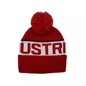 Nouveau bonnet d'hiver tendance en couleur unie / Bonnet pour adulte de dernière génération 2025 pour hommes - Product Image 4