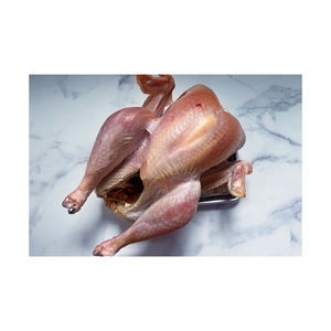 TURQUIE LUMIÈRE ET FONCÉ Meilleur Prix Frozen - Product Image 5