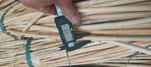 Tiras de material de caña cruda de ratán natural, suministros de 2mm, 2,5mm, 9mm, barra redonda para exportación - Product Image 2