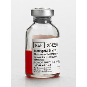 Corning Matrigel GFR 10mL Factor de crecimiento Membrana basal reducida Matriz Dispositivos termostáticos de laboratorio sin LDEV - Product Image 1
