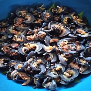 Escargots africains séchés de qualité supérieure, entièrement transformés, viande gastronomique, riche en protéines, aliment naturel, vente en gros, exportation - Product Image 2