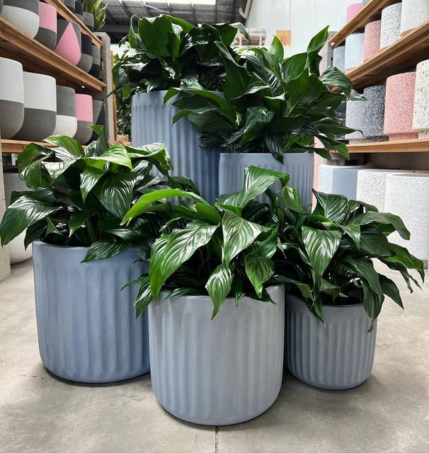 Concise Style Multi Size Indoor Outdoor Floor Garden Plant Pots Large Ceramic Flower Pot for Home