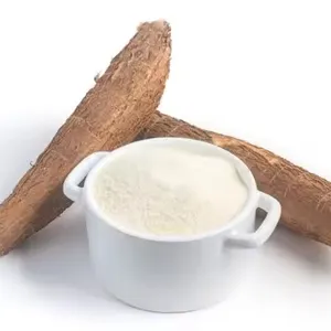 EXPORTING TOP QUALITY CASSAVA POWDER/ TAPIOCA FLOUR FROM VIETNAM IN BULK TO EXPORT