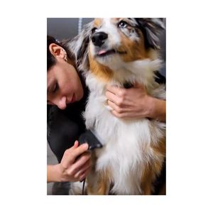 Ưu Tú chải chuốt deshedder cho chó mèo nhựa tóc mỏng công cụ loại bỏ lớp lông dư thừa cho trung bình dài lông chó mịn - Product Image 6