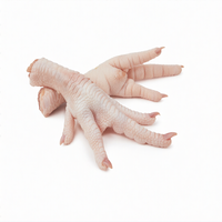 Pieds, ailes, cuisses et têtes de poulet halal surgelés de qualité supérieure, transformés IQF, emballage de qualité export