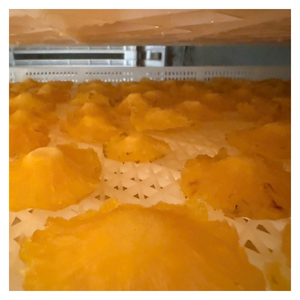 Piña seca suave natural sin color o sabor artificial, en rodajas, empaquetada higiénicamente, lista para venta al por mayor, Etiqueta Privada - Product Image 4